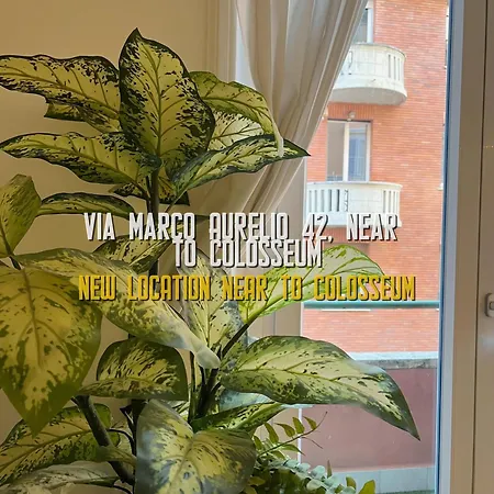 Konukevi Il Plancton