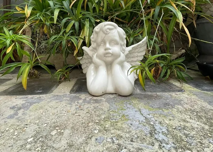 Il Plancton Maison d'hôtes *