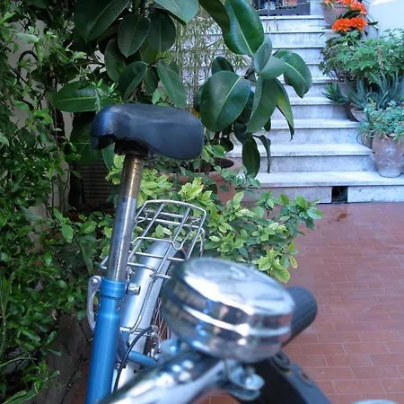 Il Plancton Casa de hóspedes Roma