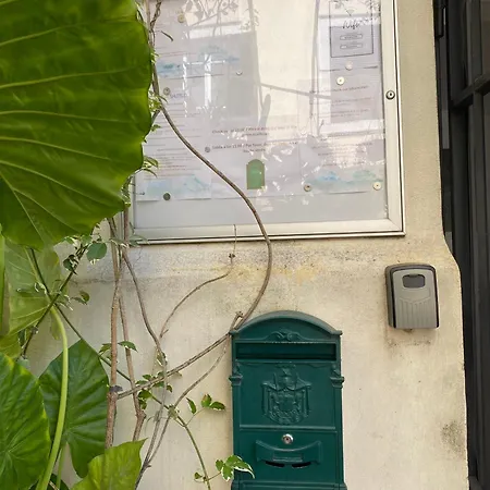 Il Plancton * ローマ