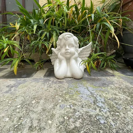 Il Plancton بيت ضيافة *